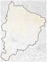 大規模