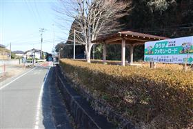 山本
