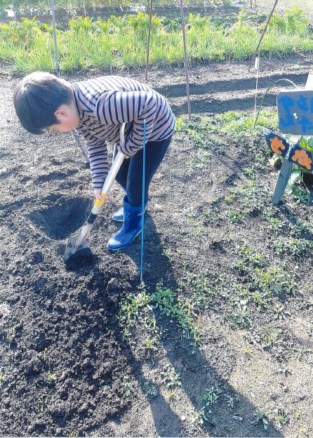【50歳以上の部】入賞　野菜畑を耕す手伝いをするひ孫