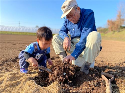 【30歳未満の部】優秀賞　畑仕事