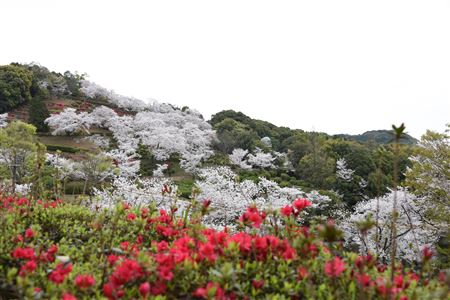 日輪寺公園