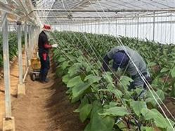 育成センターハウス内