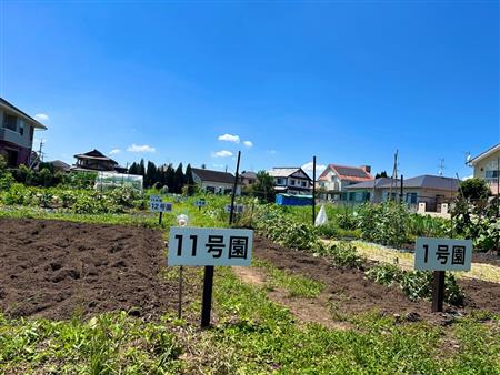 古閑2