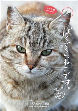 ぼくさくらねこ-1