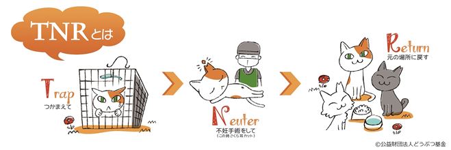 TNRよこ型