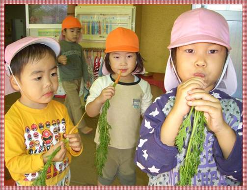 園児たちが、間引きした人参を食べている様子