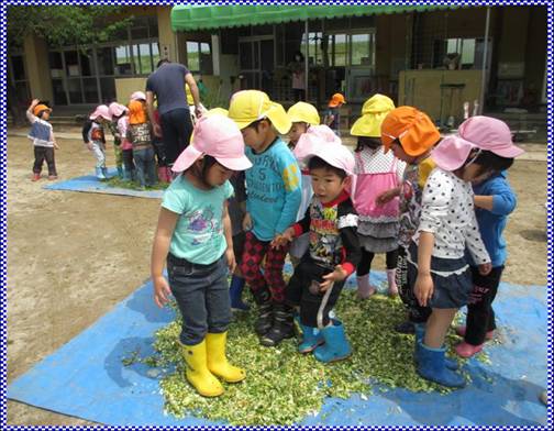 ちぎった生ごみを踏みつぶして小さくしている様子