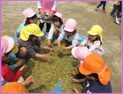 微生物が入ったぼかしと米ぬかと生ごみを混ぜている様子