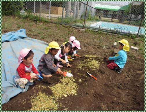 下準備が出来た生ごみを耕した畑の土に混ぜている様子